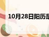 10月28日阳历是几月几号（10月28日）