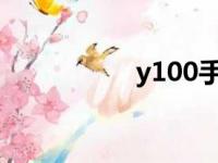 y100手机价格（y10）