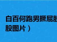 白百何跑男撅屁股图片视频（白百何跑男撅屁股图片）