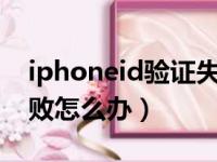 iphoneid验证失败怎么解决（苹果id验证失败怎么办）