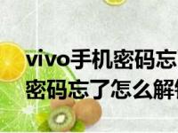 vivo手机密码忘了怎么解锁密码（vivo手机密码忘了怎么解锁）