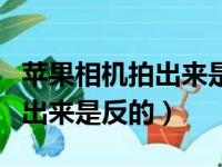 苹果相机拍出来是反的怎么调整（苹果相机拍出来是反的）