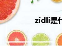 zidli是什么牌子（zidli）