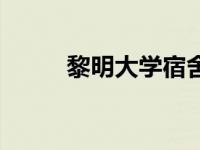 黎明大学宿舍楼（黎明大学宿舍）