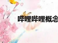 哔哩哔哩概念1.9.8（bilibili概念）