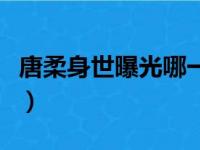 唐柔身世曝光哪一章（唐柔身份曝光是哪一章）