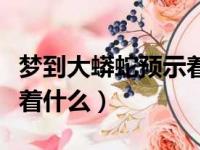 梦到大蟒蛇预示着什么意思（梦到大蟒蛇预示着什么）