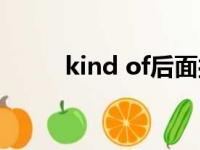 kind of后面接什么词（kind of）