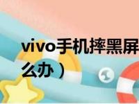 vivo手机摔黑屏了怎么办（手机摔黑屏了怎么办）