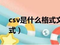 csv是什么格式文件怎么编辑（csv是什么格式）