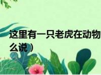 这里有一只老虎在动物园用英语怎么说（在动物园用英语怎么说）