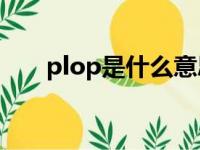 plop是什么意思（ptop是什么意思）