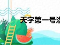 天字第一号洛少爷（天字第一号）