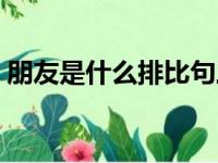 朋友是什么排比句三个（朋友是什么排比句）