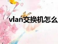 vlan交换机怎么设置（交换机怎么设置）