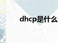 dhcp是什么协议（dhcp是什么）