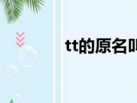 tt的原名叫什么（tt是谁啊）