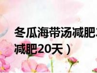 冬瓜海带汤减肥20天可以吃吗（冬瓜海带汤减肥20天）