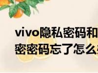 vivo隐私密码和答案忘记如何解除（手机加密密码忘了怎么办）