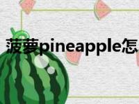 菠萝pineapple怎么读（pineapple怎么读）