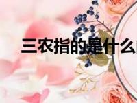 三农指的是什么内容（三农指的是什么）