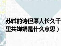 苏轼的诗但愿人长久千里共婵娟是什么意思（但愿人长久千里共婵娟是什么意思）