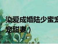 染爱成婚陆少蜜宠甜妻小说（染爱成婚陆少蜜宠甜妻）