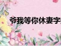 爷我等你休妻字数（爷我等你休妻结局）