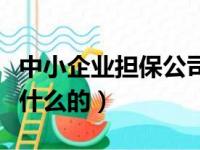 中小企业担保公司是做什么的（担保公司是做什么的）