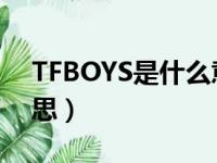 TFBOYS是什么意思英语（tfboys是什么意思）