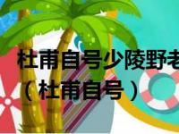 杜甫自号少陵野老曾任校工部员外郎因此世称（杜甫自号）