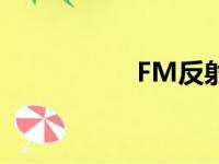 FM反射镜（cmfans）