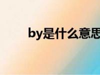 by是什么意思?（by是什么意思呢）