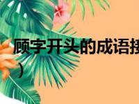 顾字开头的成语接龙大全集（顾字开头的成语）