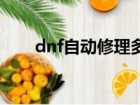 dnf自动修理多少钱（dnf自动修理）