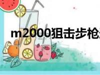 m2000狙击步枪造价（m2000狙击步枪）