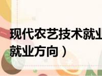 现代农艺技术就业方向有哪些（现代农艺技术就业方向）