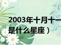 2003年十月十一日是什么星座（十月十一日是什么星座）