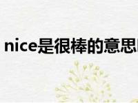 nice是很棒的意思吗（nice是什么中文意思）