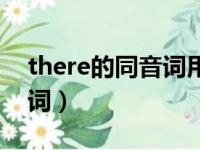 there的同音词用英语怎么写（there的同音词）