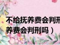 不给抚养费会判刑吗到底会不会判刑（不给抚养费会判刑吗）