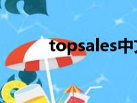 topsales中文翻译（top sales）