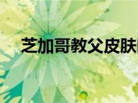 芝加哥教父皮肤图片（芝加哥教父皮肤）