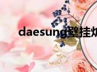 daesung壁挂炉使用说明（daesung）