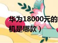 华为18000元的折叠手机（华为一万多的手机是哪款）