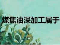 煤焦油深加工属于什么行业（煤焦油深加工）