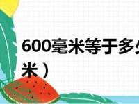 600毫米等于多少分米（60毫米等于多少厘米）