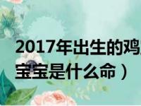 2017年出生的鸡宝宝五行缺什么（2017年鸡宝宝是什么命）