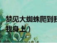 梦见大蜘蛛爬到我身上咬我（梦见大蜘蛛爬到我身上）