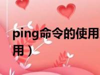 ping命令的使用方法有哪些（ping命令的使用）